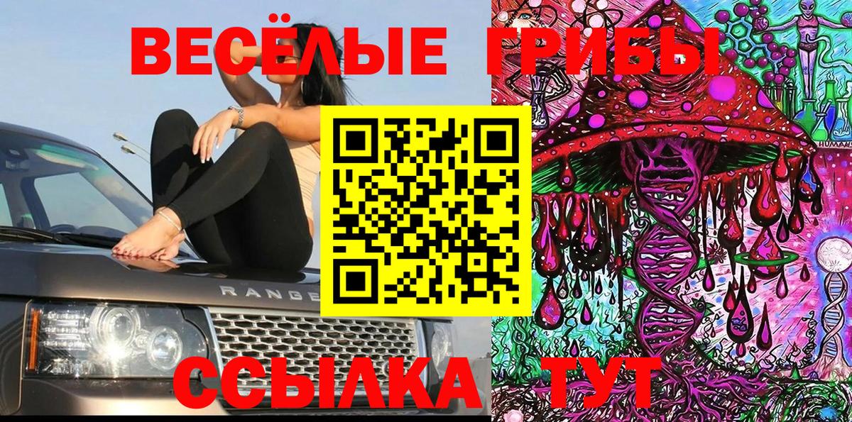 Чернушка  где купить наркоту  Вход с VPN  Галлюциногенные грибы MAGIC MUSHROOMS 