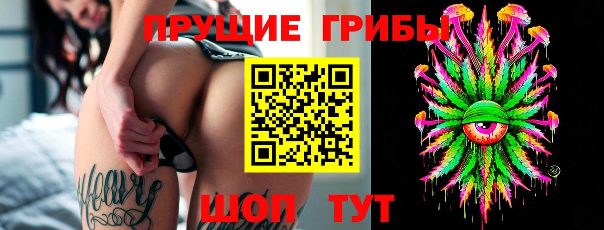 Галлюциногенные грибы мухоморы Чернушка