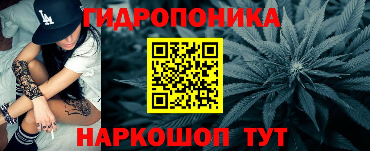 Чернушка  Конопля индика  Вход с VPN  Конопля White Widow  Конопля THC 21% 
